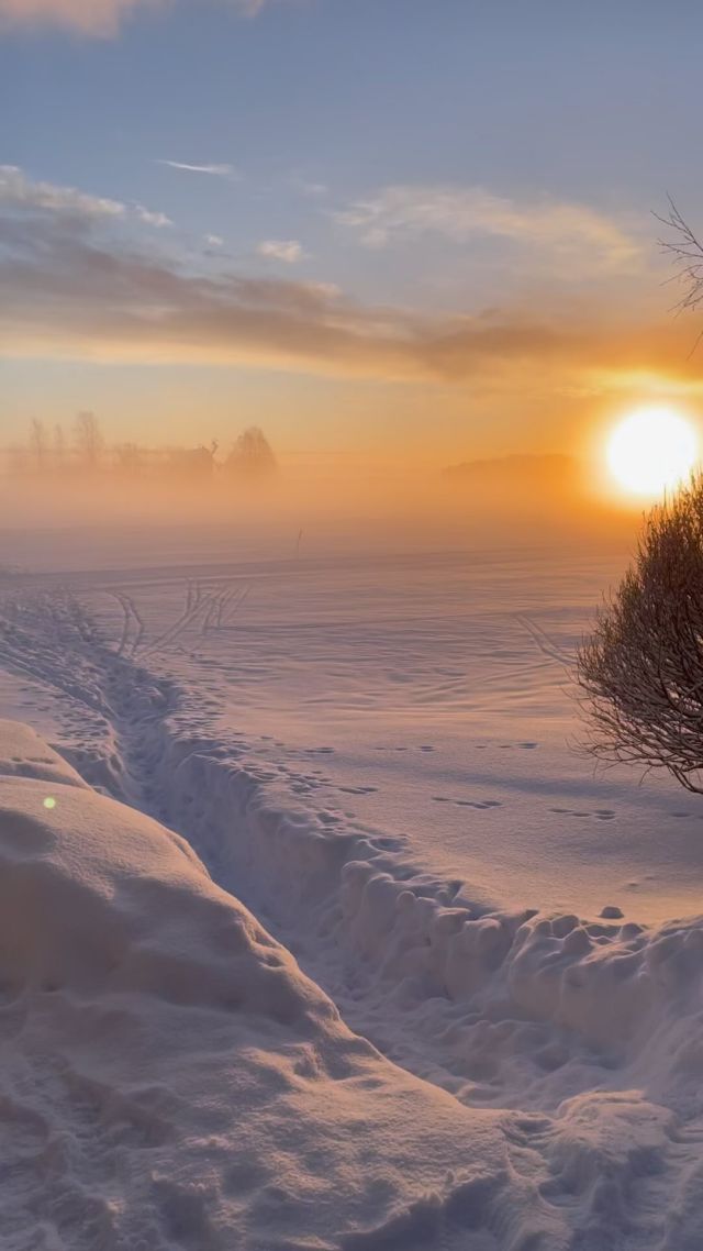Aurinko nousee huomennakin❤️

Muista se huonona hetkenä😘

#auringonnousu #kuopio