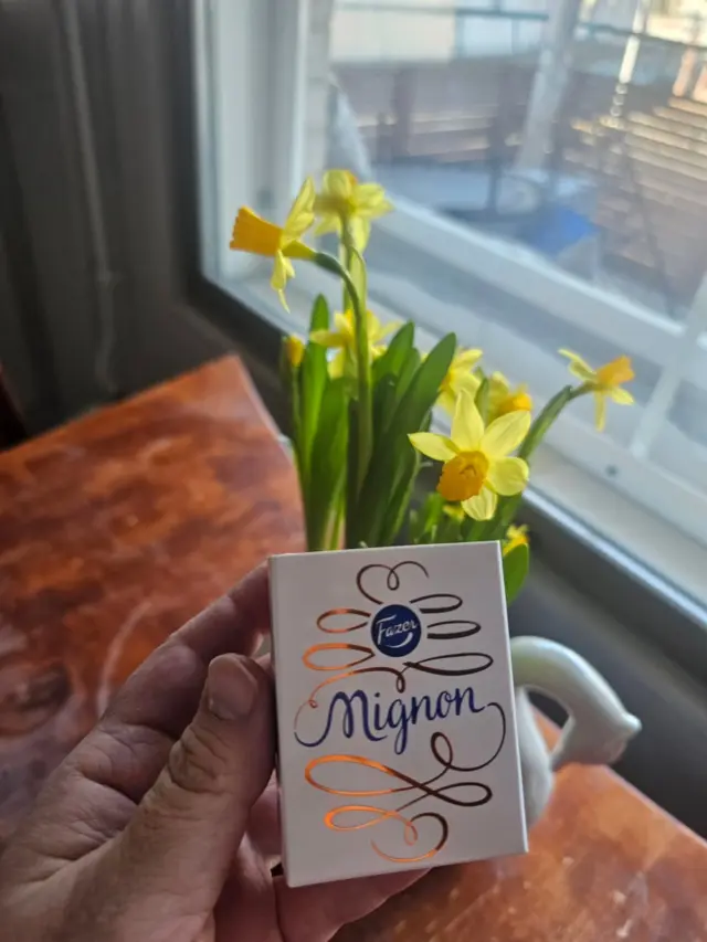 Mä oon viettänyt lapsuuden pääsiäiset aina mökillä -ensin kodin lähellä olevalla ja koulukouluikäisenä Lapissa. 

Se oli huoletonta aikaa, kun pääsi aina rinteeseen ja moottorikelkkailemaan❄️
 
Aikuisena en oo käynyt Lapin mökillä kuin kahdesti, koska palkkatöistä on hankala saada tarpeeksi pitkää lomaa oikeaan aikaan. Tämän takia meidän lapsilla ei ole samanlaista tunnesidettä Lappiin kuin mulla ja se harmittaa. 

Ehkä taas ensi vuonna päästään Lappiin. Haaveillaan myös kesälomaretkestä sinne koko perheellä. 

Ollaan oltu pääsiäinen kotona ja meinasin tehdä samoja juttuja kuin mun lapsuudessa eli piilottaa suklaamunia, maalata kananmunankuoria ja syödä pääsiäisherkkuja. Lapset ei kuitenkaan sit olleetkaan kotona pääsiäistä, kun kuopus pääsi mummin kanssa mökille ja keskimmäinen lähti äidilleen. Ollaan sit oltu Janin kanssa kahdestaan. 

Eilen vietin kolme tuntia kiertäen kirppiksiä ja tänään käytiin vesijumpassa. Söin yhden Mignonin, enempää en edes ostanut. Jani on syönyt mämmiä, mä en voi enkä ees tykkäis. Tehtiin eilen pizzaa ja tänään ribsejä eli ei ihan perinteistä pääsiäisruokaa. Ja tääkin pääsiäinen on ollut ihan kiva just näin🥰 

Kaks ekaa kuvaa tältä pääsiäiseltä, muut parin vuoden takaiselta Lapin reissulta. 

Mitä pääsiäisperinteitä sulla on?🐥